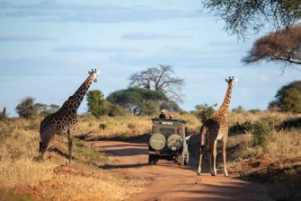 9 days tour - Hakuna Matata Tanzania Safari