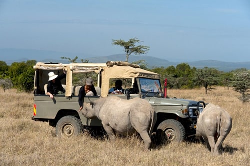 amboseli safaris