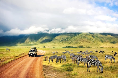 kenya safaris and tours