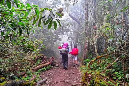 kilimanjaro climbing